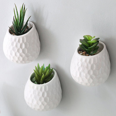 Maiorano Ceramic Wall Planter