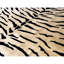 Himalayan One-of-a-Kind 10'3" X 14' Area Rug