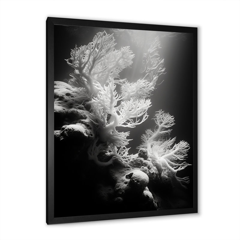 Anémone noire et blanche IV sur toile, H 40 po x l 30 po x P 1,5 po, Cadre photo noir