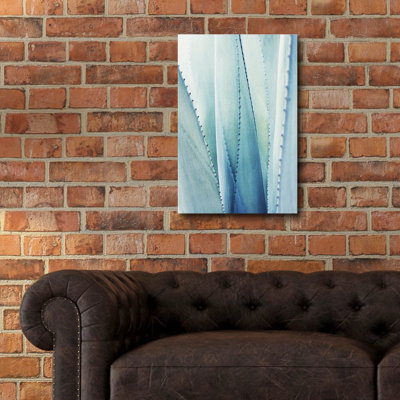 Epic Art «Pale Blue Agave No. 1» par Lupen Grainne, «Pale Blue Agave No. 1» par Lupen Grainne