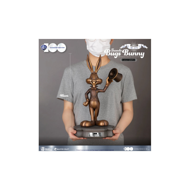 Statue 100% anniversaire Teni Warner Bros.