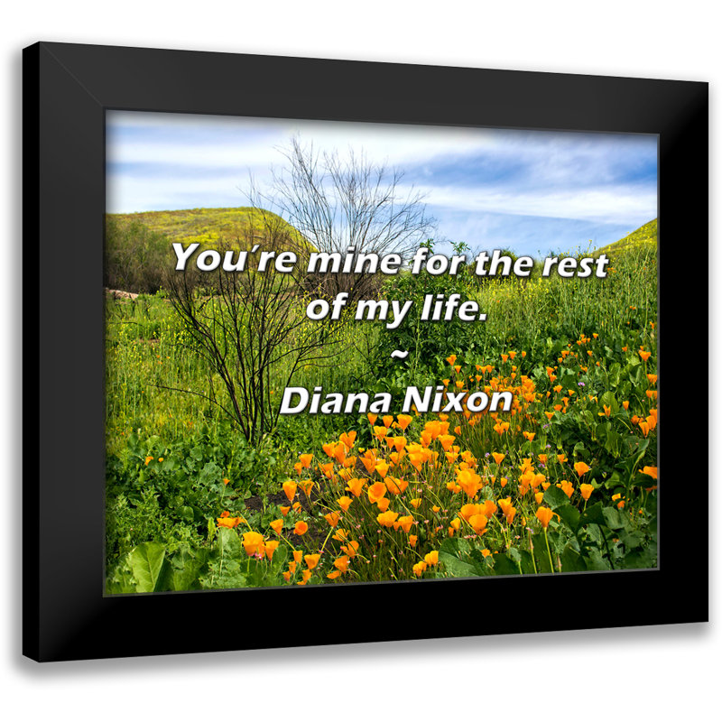 Citation de Diana Nixon: «Vous êtes à moi pour le reste de ma vie.
