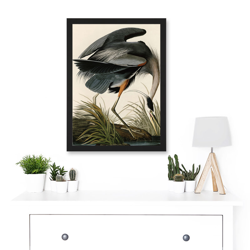 Audubon Birds Great Blue Heron Nature Animals - Single Picture Frame Print, 44.5cm H x 33cm W x 1.5cm D
