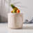 Naihla Cylindrical Coffee Table-110430143