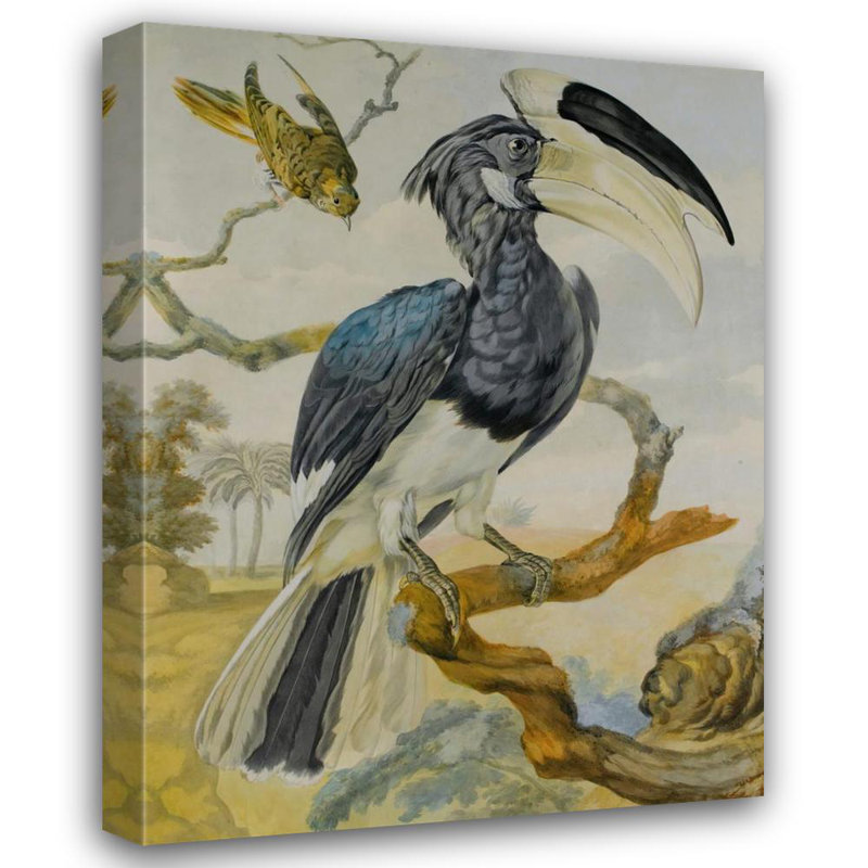 «Un calao et un autre oiseau sur une branche» par Circle Of Aert Schouman - Art mural sur toile tendue avec châssis