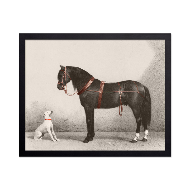 Cheval et chien, Sans cadre, Affiche, H 12 po x l 16 po
