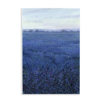 «Vast Blue Fields View», art mural par Tim Ottoole