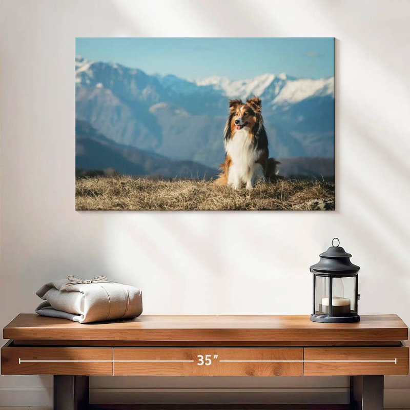 Brampt Shetland Sheepdog, 16" H x 24" W