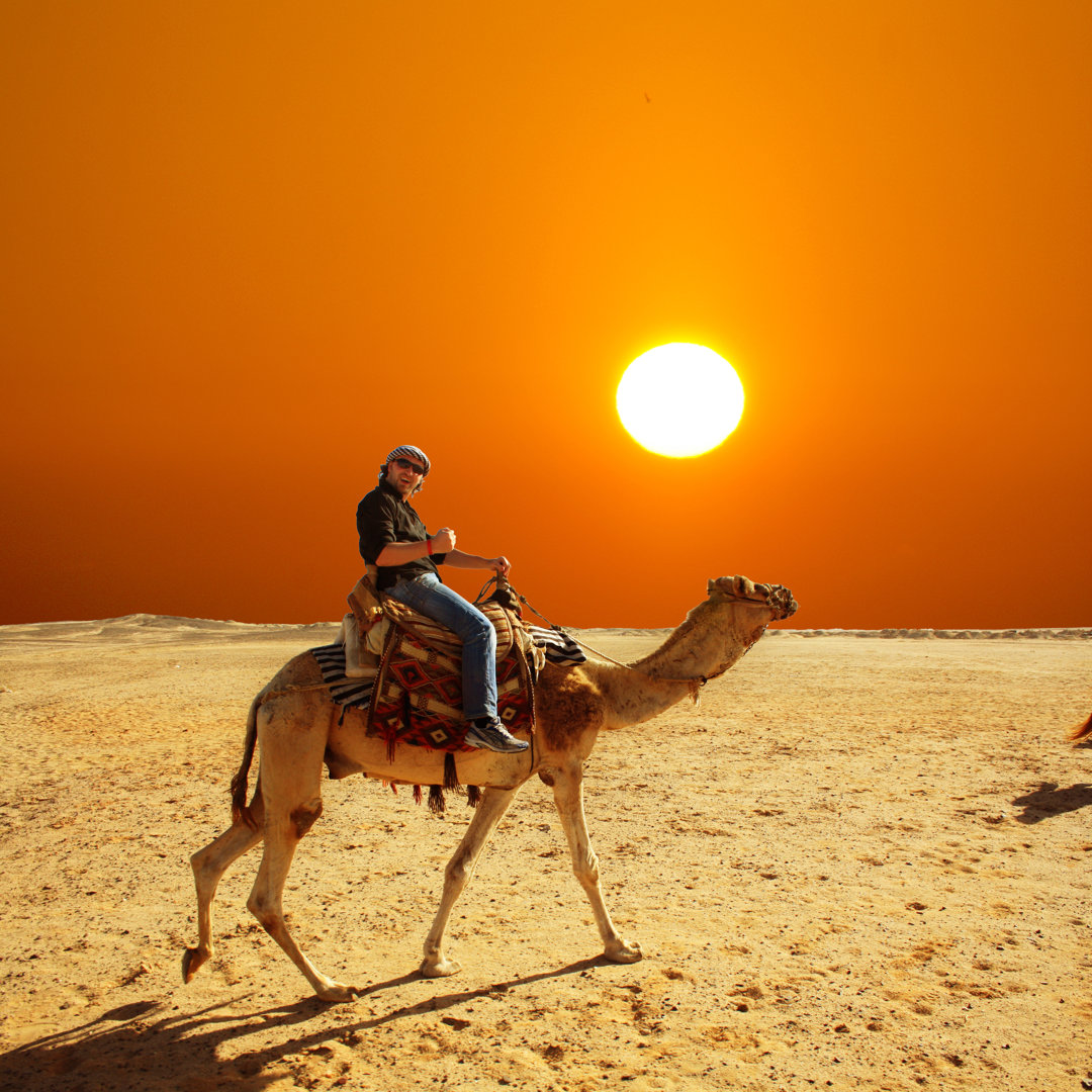 Leinwandbild Man in Glasses Riding a Camel in Desert at Sunset