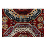 Aryana Wool Oriental Area Rug in Red/Blue/Rust