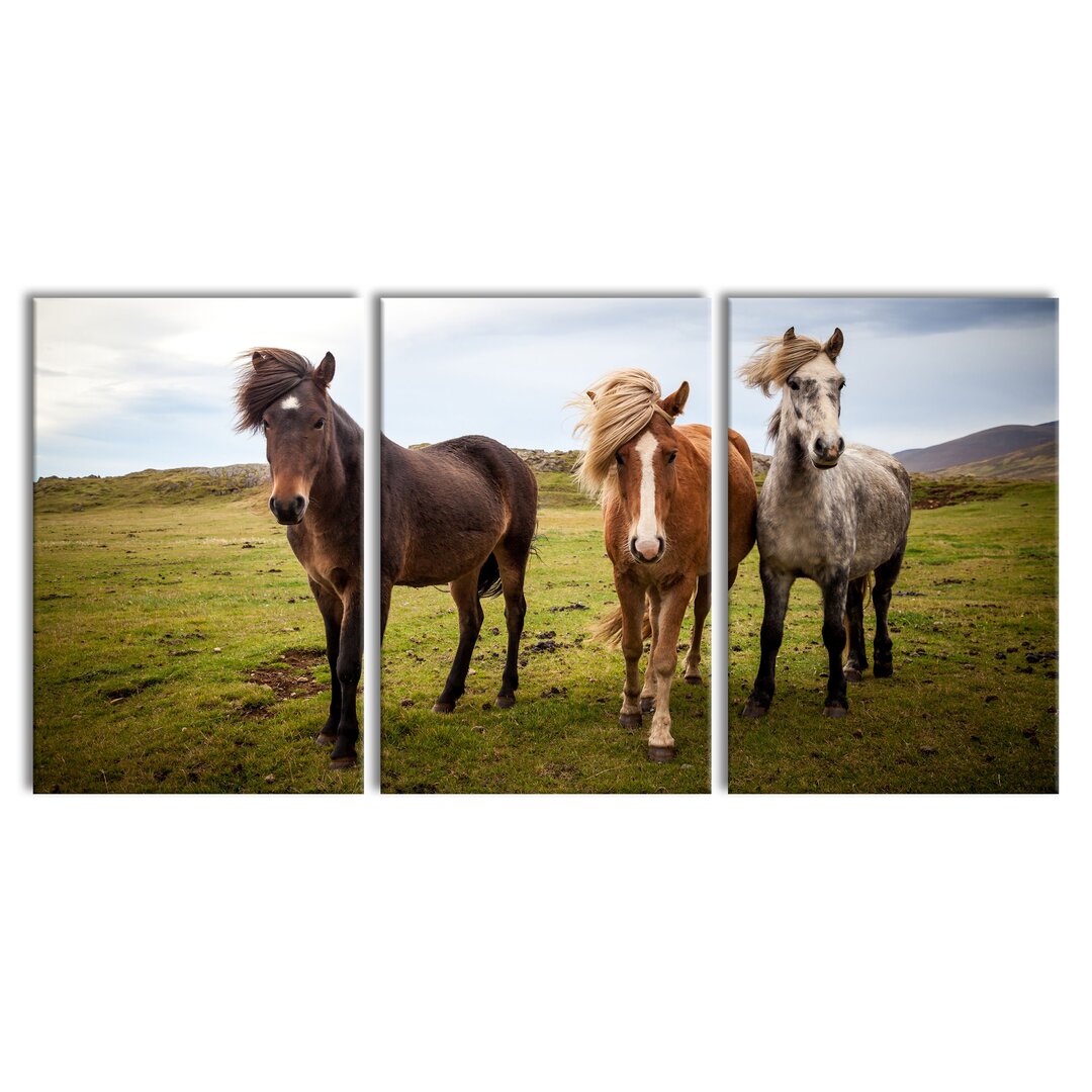 3-tlg. Leinwandbilder-Set Three Wild Icelandic Horses