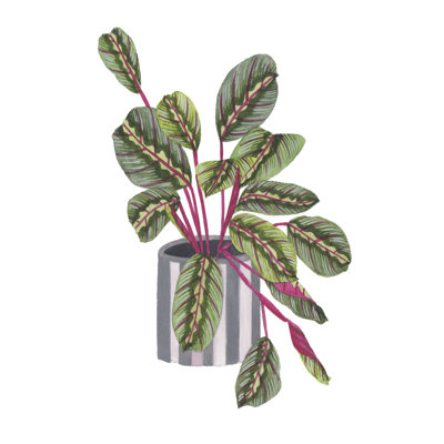 " Prayer Plant I " by Melissa Wang Painting Print