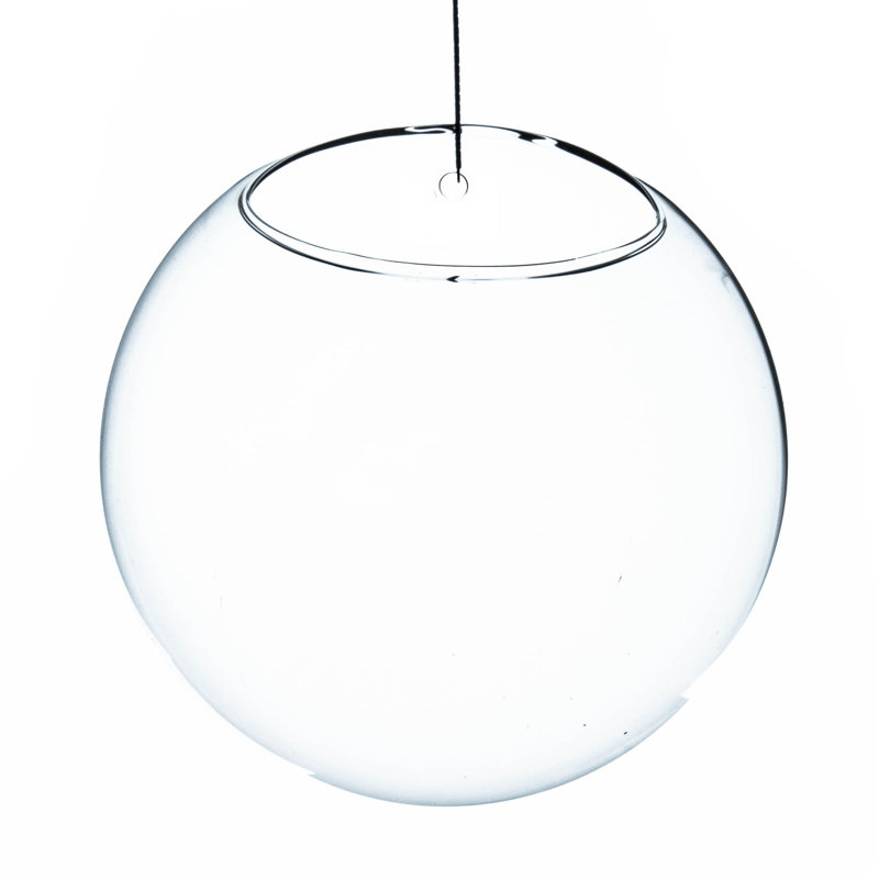 Terrarium en verre, H 7 po x l 7 po x p 5 po
