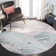 Nashota Performance Abstract Rug
