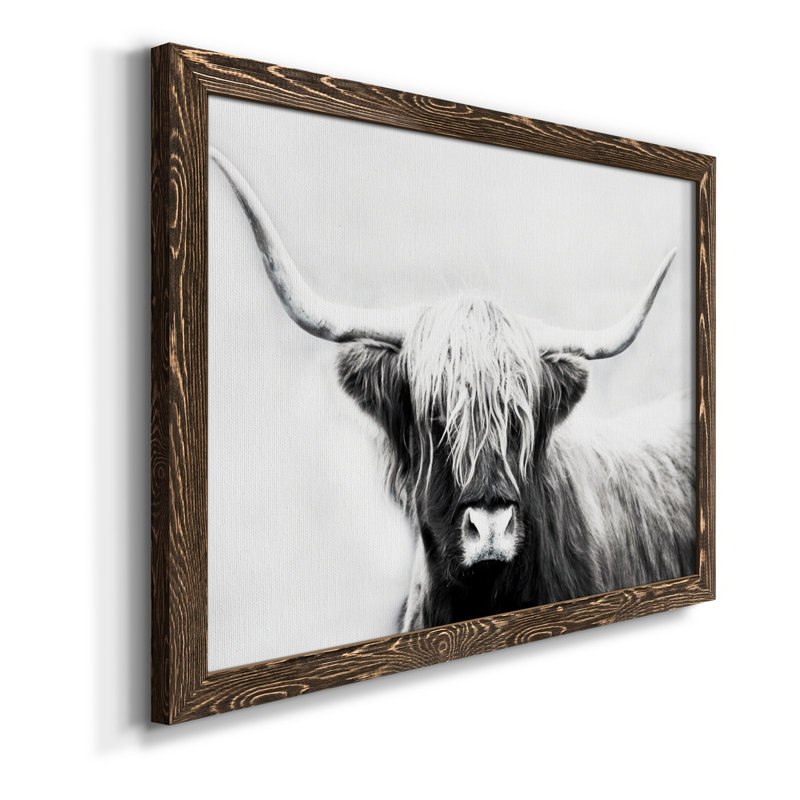 Highland Longhorn - Cadre flottant, reproduction de photo sur toile, Toile avec cadre en noyer, H 24 po x l 18 po x P 1,5 po