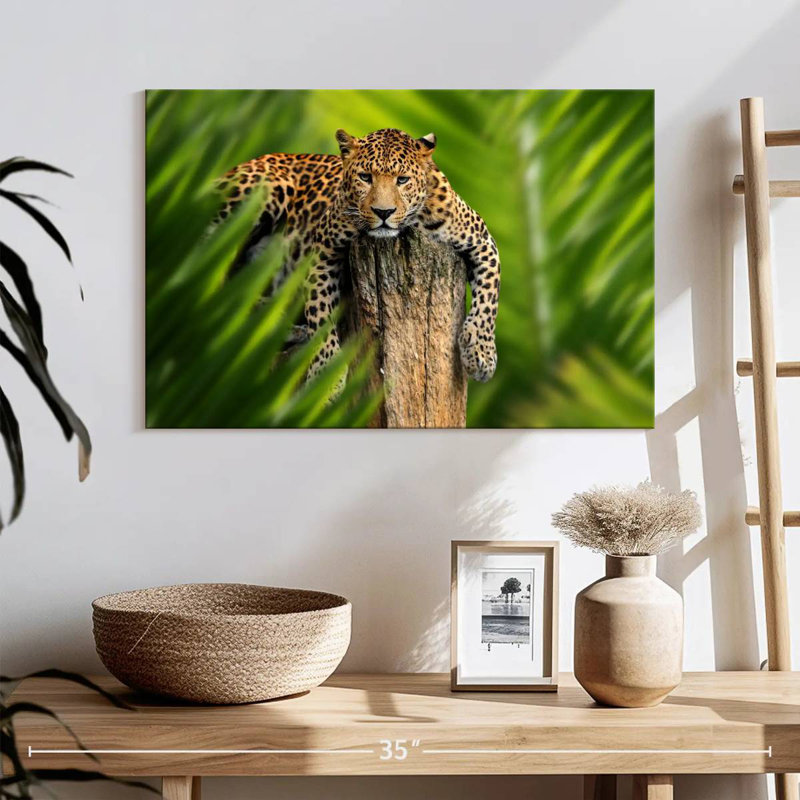 Brampt Jungle Leopard