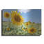 «Sunflowers I» par Richard Silver-942263830