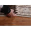 Tapis en laine Kerman Persian Design