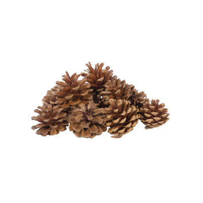 Pin autrichien