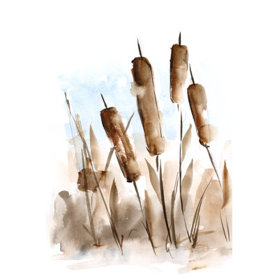 " Watercolor Cattail Study II " by Ethan Harper