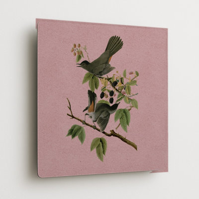 Oiseau-chat gris (Planche 128) Rose — Décoration murale carrée en métal