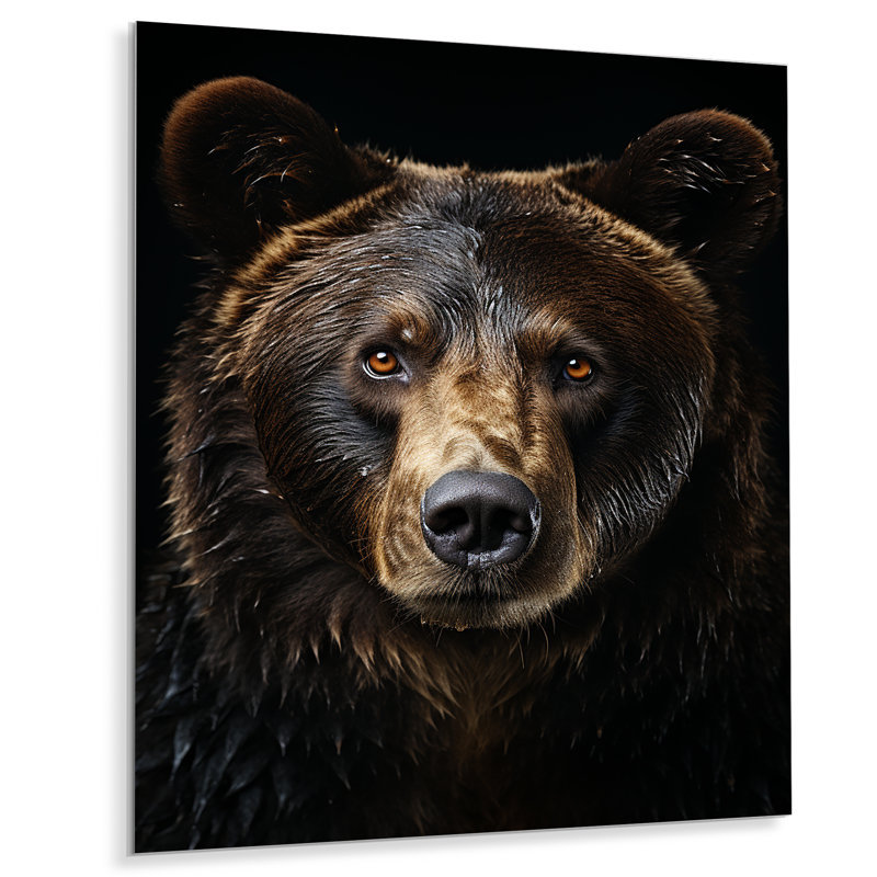 Ours majestueux, impression d'art en métal, H 40 po x l 30 po