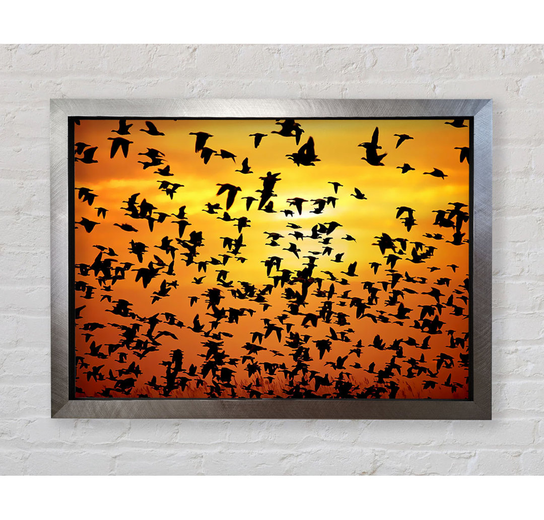 Flight Of The Silveren Birds - Einzelner Bilderrahmen Kunstdrucke