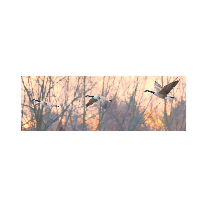 Canadian Trio by David Gardiner - Panoramic Print on Canvas, Wrapped Canvas, 30.48 cm H x 91.44 cm W x 3.175 cm D