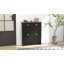 12 Pair Shoe Storage Cabinet