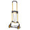 154 lb Chariot manuel