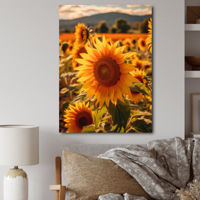" Sunflower Golden At Sunset I "