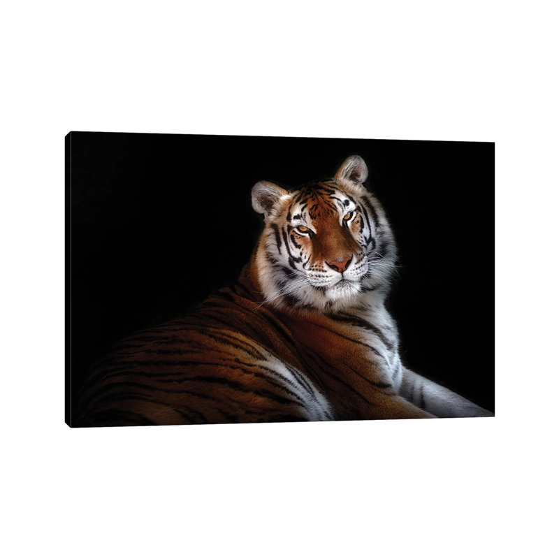 Serenity 1 Piece Wrapped Canvas Wall Art, 20.32 cm H x 30.48 cm W
