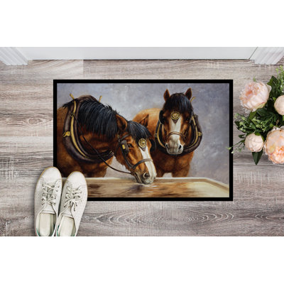 Non-Slip Outdoor Doormat