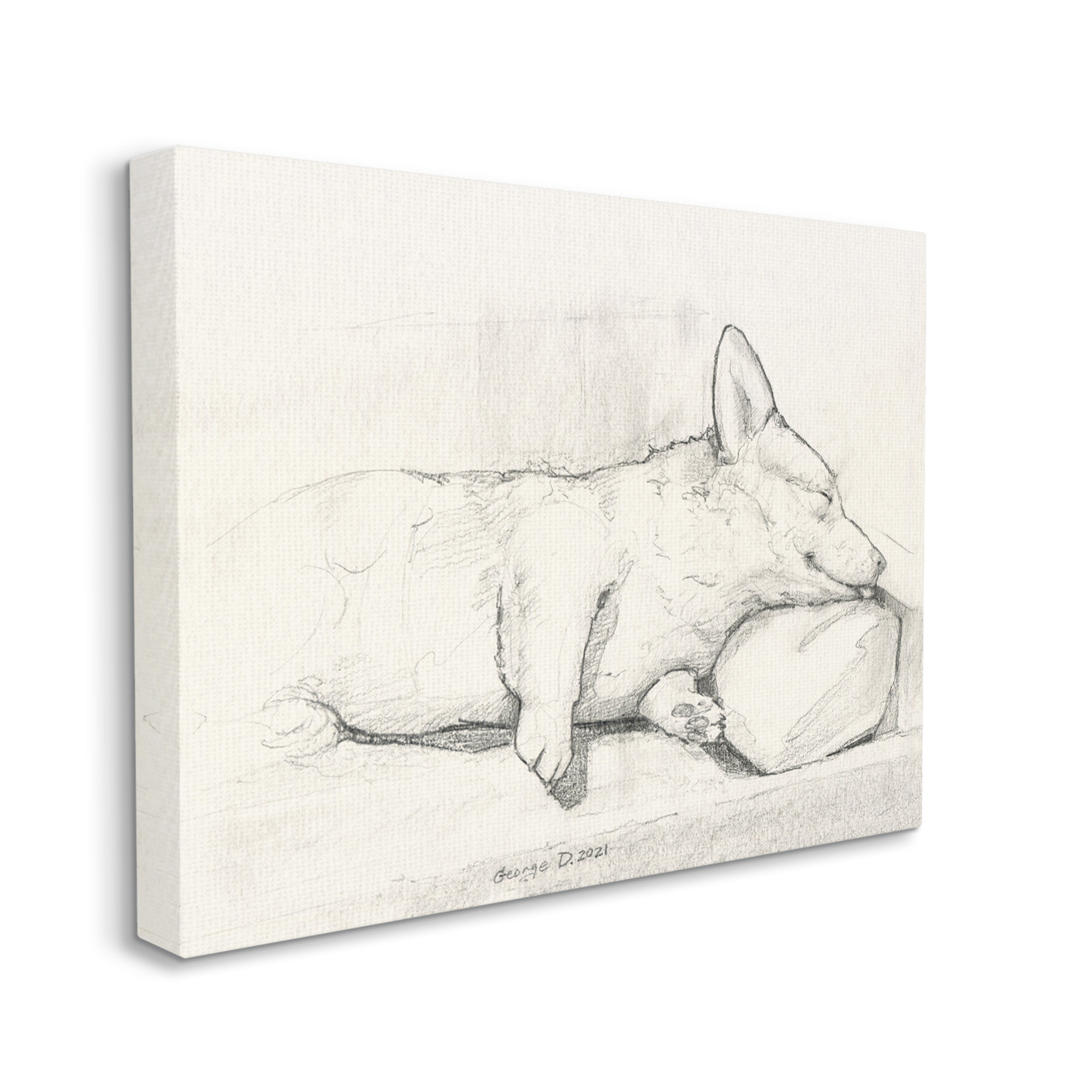 Corgi Dog Lolling Tongue Graphite Pencil Sketch On Canvas by George  Dyachenko Print