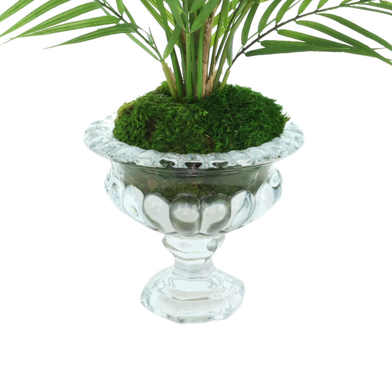 Palm And Moss Arranged In A Clear Glass Bowl Vase