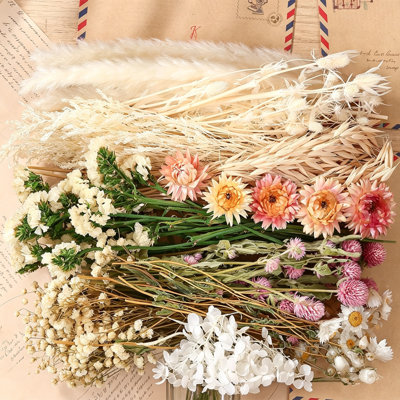 10 Kinds Natural Dried Flowers Green Series – Boho Wedding Bouquet DIY Floral Arrangement Supplies  For Home Decor