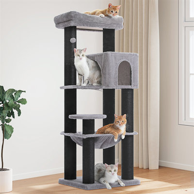 Arbre à chat