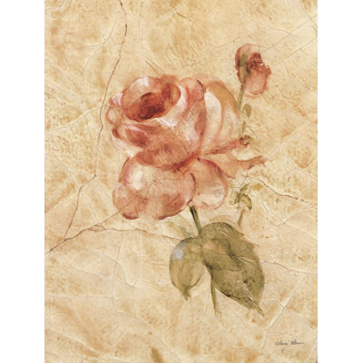 «Rose on Cracked Lin Crop» par Cheri Blum - reproduction