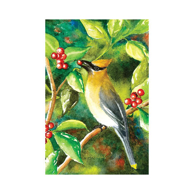 " Cedar Wax Wing "