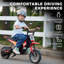 AIYAPLAY Kids Electric Motorbike 24V 250W 6-16km/h for 8-12 Years Old-2049994236
