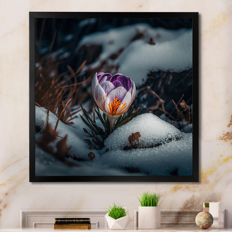 Une fleur de crocus en fleurs III - Photographie sur toile, Impression noire sur toile encadrée, H 16 po x l 16 po x P 1 po