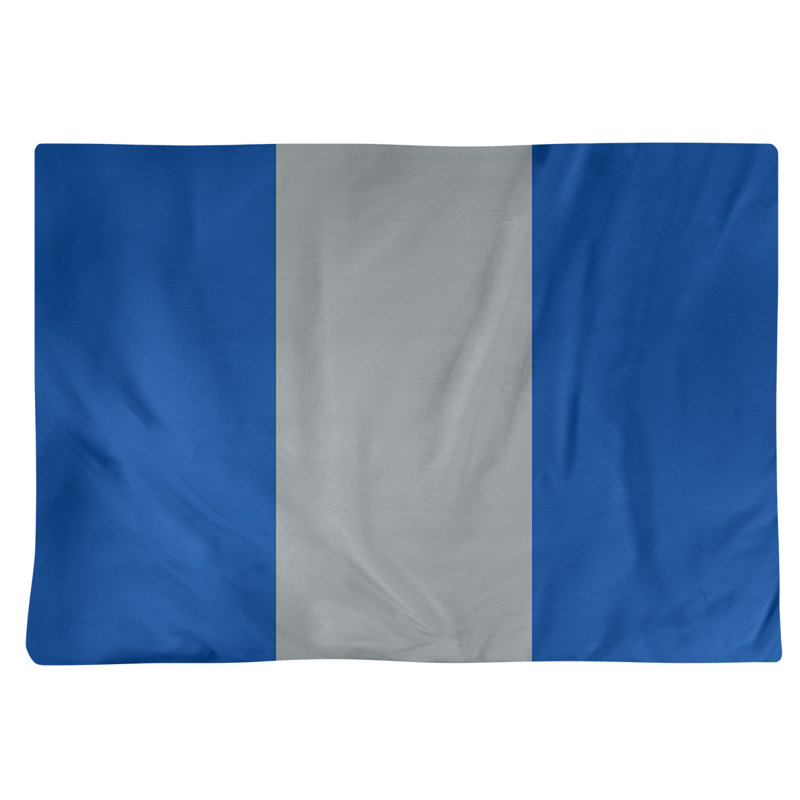 Récapitulatif 14" hockey St. Louis, Bleu royal / gris / bleu royal, Sergé de coton