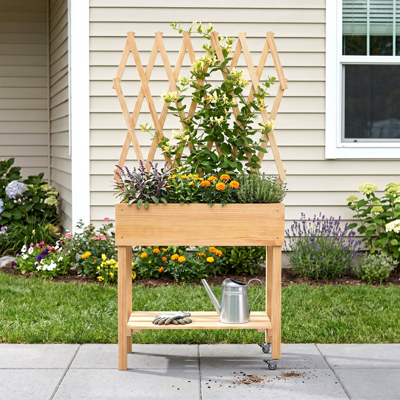 Solid Wood Raised Garden Bed Outdoor Elevated Planter Box
