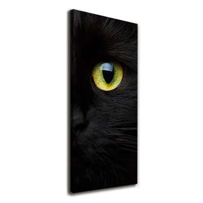 Cat's Eyes - Wrapped Canvas Print