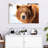 Grizzly Bear Stare-107703629