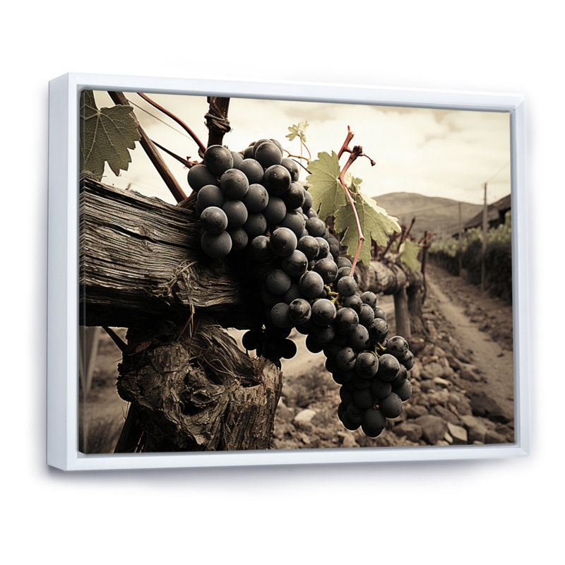 Vintage Charm Winery - vignoble, art mural, H 24 po x l 32 po x P 1 po, Cadre flottant blanc