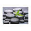 No Frame Print on Canvas-1499025168