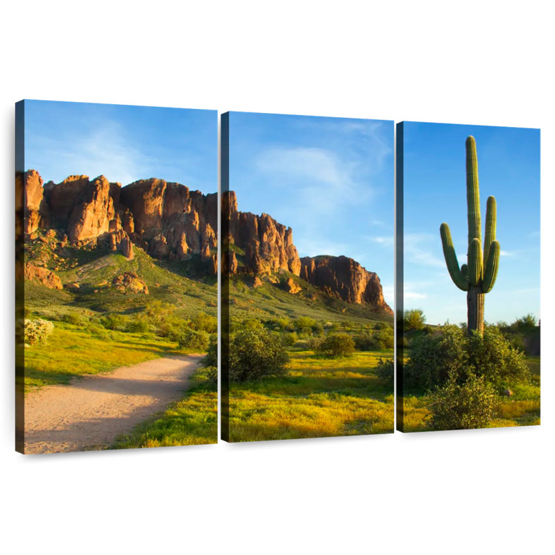 Alvord Saguaro, 48" H x 74" W