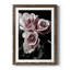 Rose noire I - photographie-1052725963-1052725960