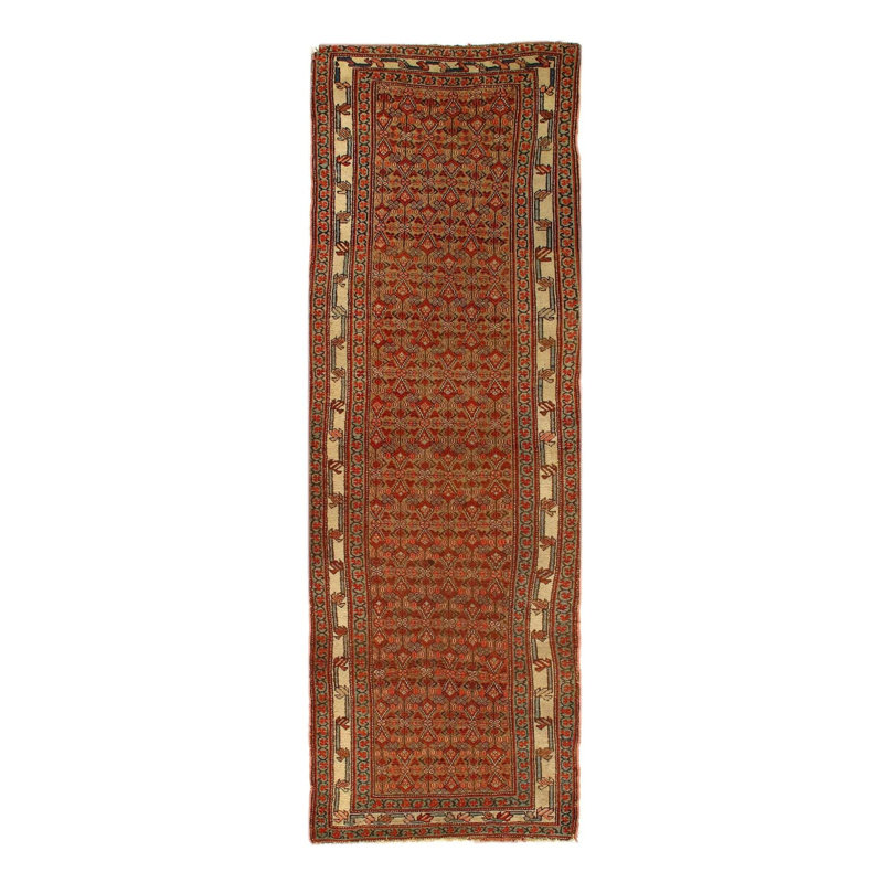 Oriental Area Rug